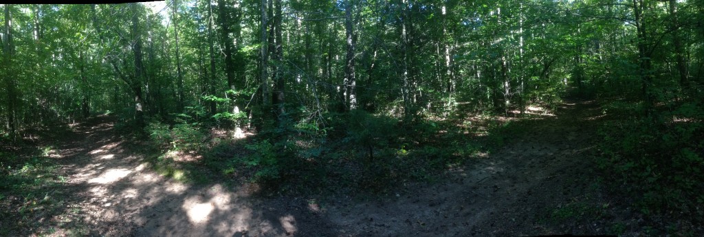 Arkansas IMG_4444