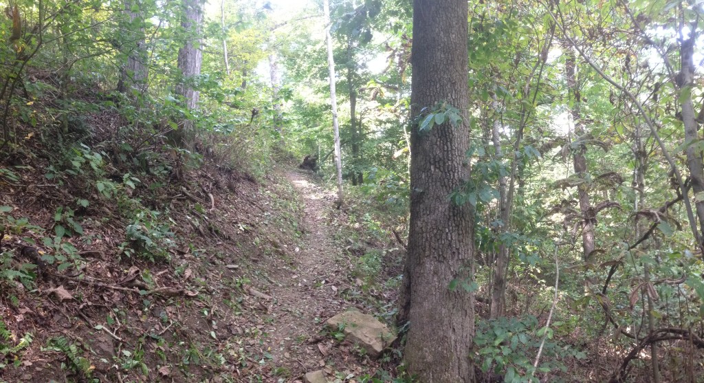 Arkansas IMG_4551