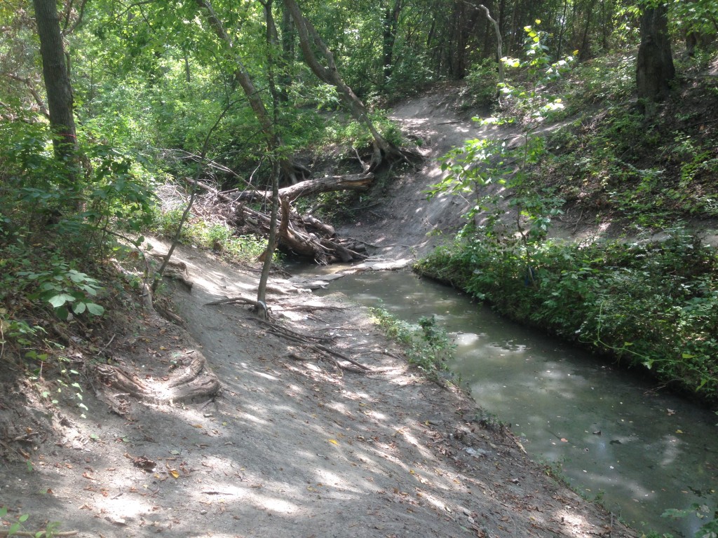 Rowlett Creek Photo Aug 28, 1 26 26 PM