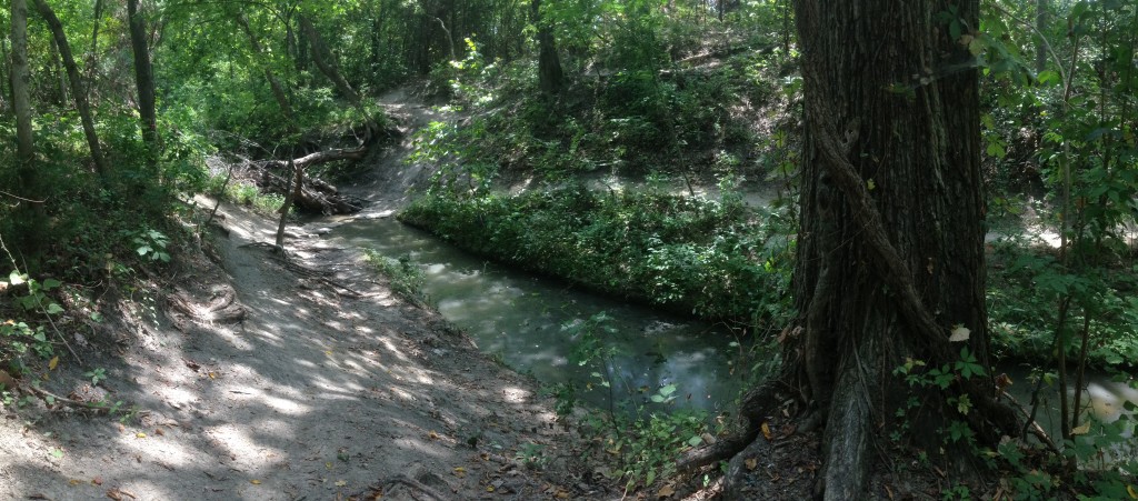 Rowlett Creek Photo Aug 28, 1 26 43 PM