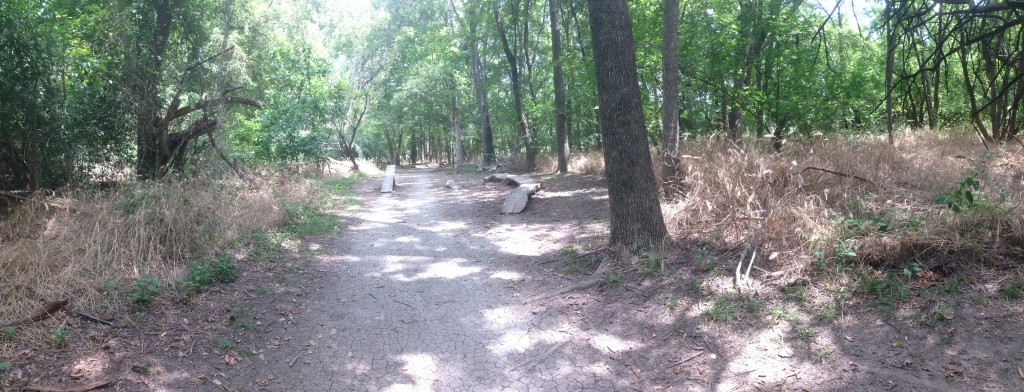 Rowlett Creek Photo Aug 29, 1 08 48 PM