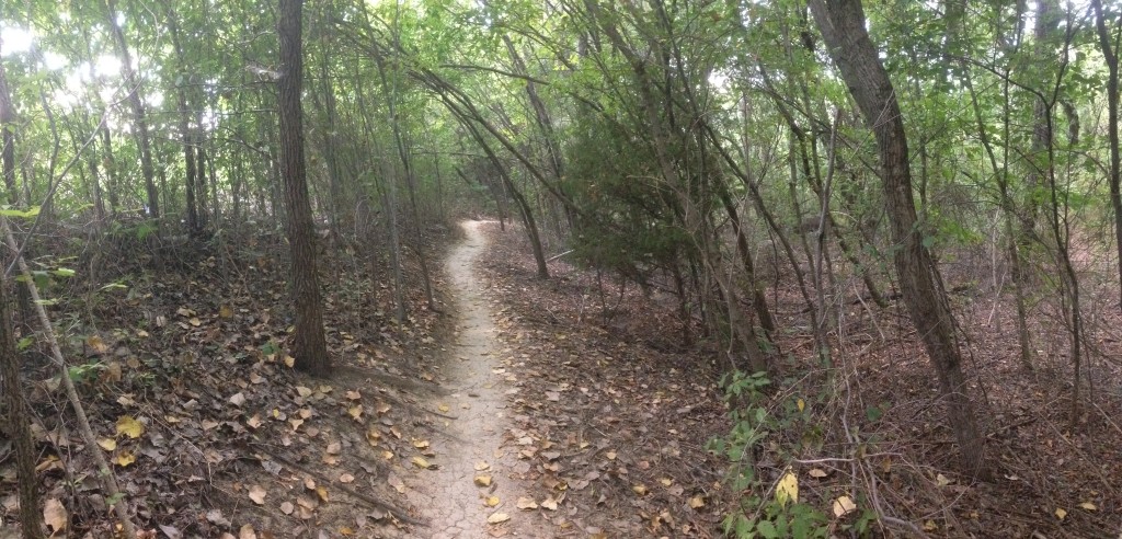 Rowlett Creek Photo Aug 29, 12 24 38 PM