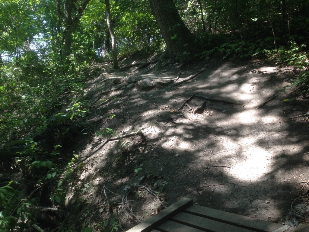 Rowlett Creek Photo Aug 29, 12 34 56 PM