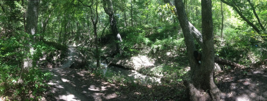 Rowlett Creek Photo Aug 29, 12 36 29 PM